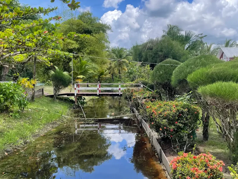 A small footbridge crosses a narrow waterway in a lush garden.