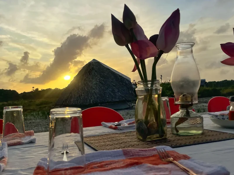 Purple flowers, glasses and place settings on an outdoor table at sunset.