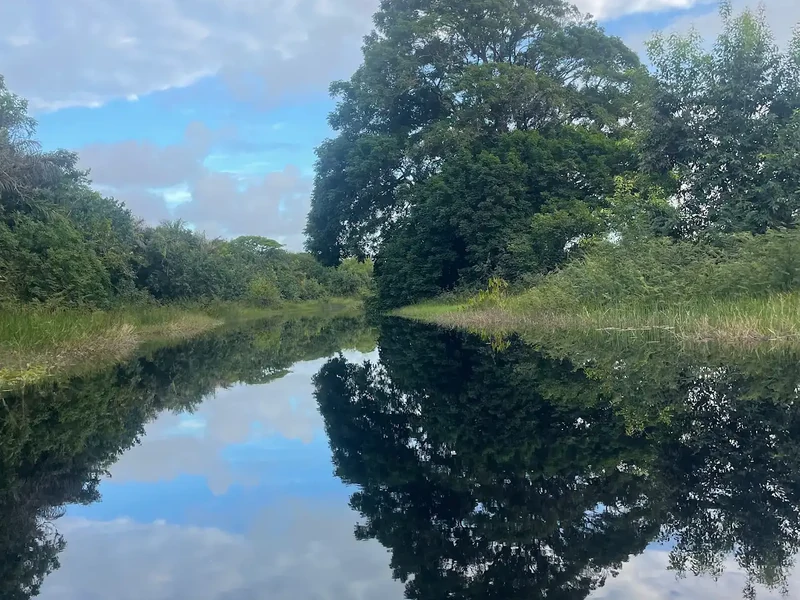 Trees on a riverbank reflect in still water under a cloudy blue sky.
