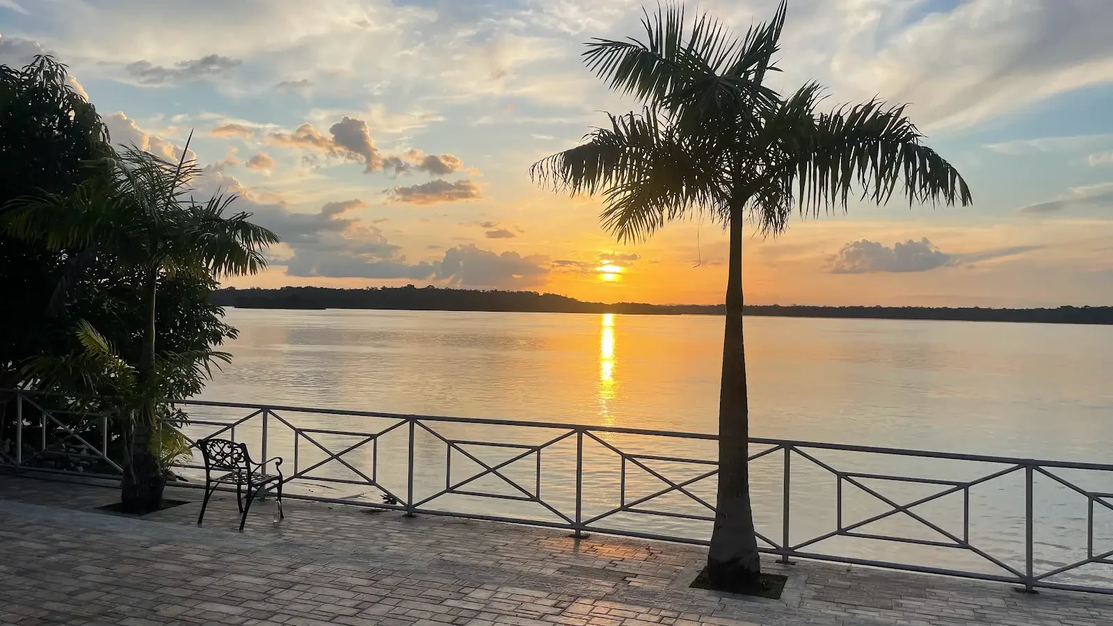 A palm tree and terrace railing frame a sunset over water.