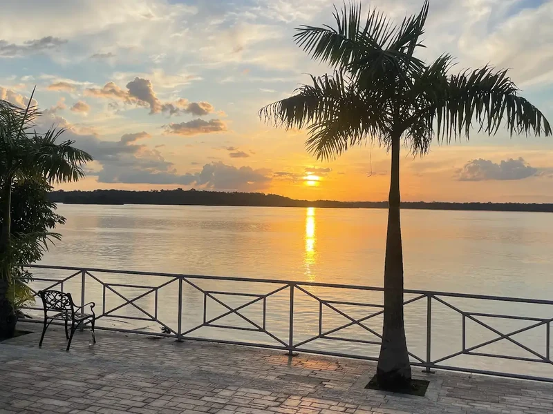 A palm tree and terrace railing frame a sunset over water.